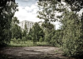 Viermii de la Cernobîl nu sunt deloc afectați de radiații