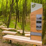 „Pădurea-parc Făget – plămânul verde al Clujului”, printre câștigătorii Noului Bauhaus European (Galerie foto)