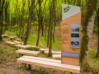 „Pădurea-parc Făget – plămânul verde al Clujului”, printre câștigătorii Noului Bauhaus European (Galerie foto)