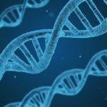 A fost descoperită o mutație genetică rară, nemaivăzută până acum la oameni, care ar putea duce la un nou tratament pentru diabet