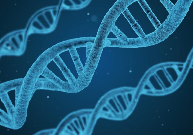 A fost descoperită o mutație genetică rară, nemaivăzută până acum la oameni, care ar putea duce la un nou tratament pentru diabet
