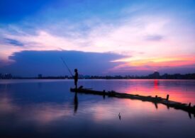 Ghidul definitiv al alegerii mulinetei de crap pentru pescarii profesioniști