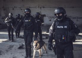 Percheziții la traficanți de droguri din București și Timiș