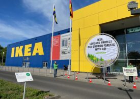 Greenpeace acuză IKEA de implicare în distrugerea pădurilor din România - ajung mobilă în 13 țări europene
