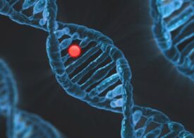 ADN-ul viral străvechi din genomul uman, legat de tulburări psihiatrice majore. La ce boli suntem predispuși nativ