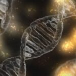 S-a găsit o legătură genetică între boala inflamatorie intestinală și Parkinson