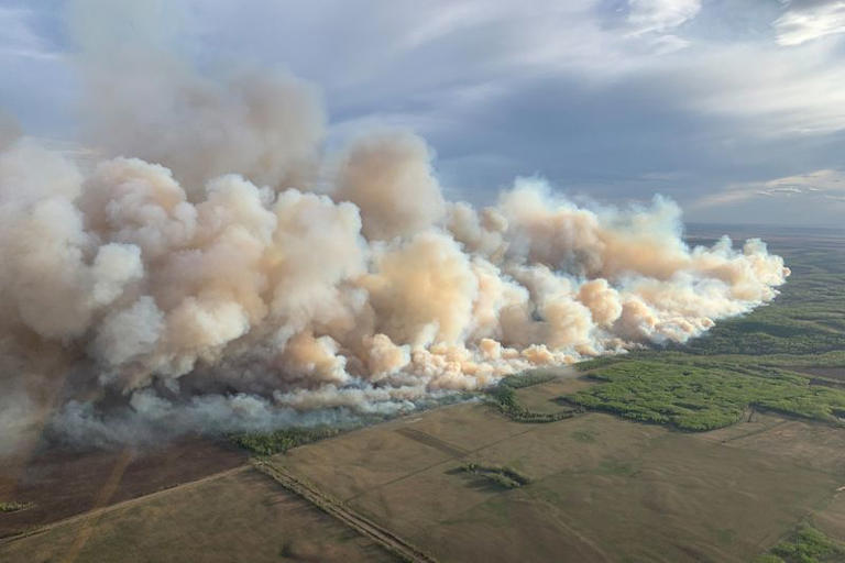 Incendiile de pădure fac ravagii în vestul Canadei: Mii de persoane au fost evacuate (Video)