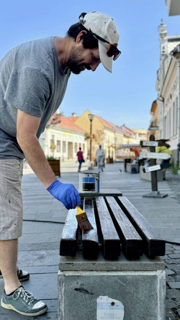 Ziua Verde Miercurea Ciuc