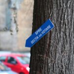 Ciucu sau Băluță? Cel mai recent sondaj INSCOP arată cât de mare e procentul de nehotărâți