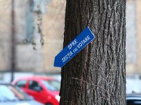 Ciucu sau Băluță? Cel mai recent sondaj INSCOP arată cât de mare e procentul de nehotărâți