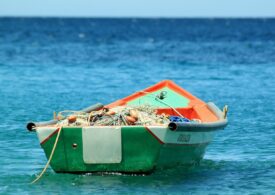 Toxic Algae in the Black Sea: Fishermen are no longer allowed to collect shellfish