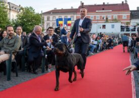 TIFF 2024 a început la Cluj cu acrobații, filmul ”Dogman” și o prezentare de câini-vedetă (Galerie foto & video)
