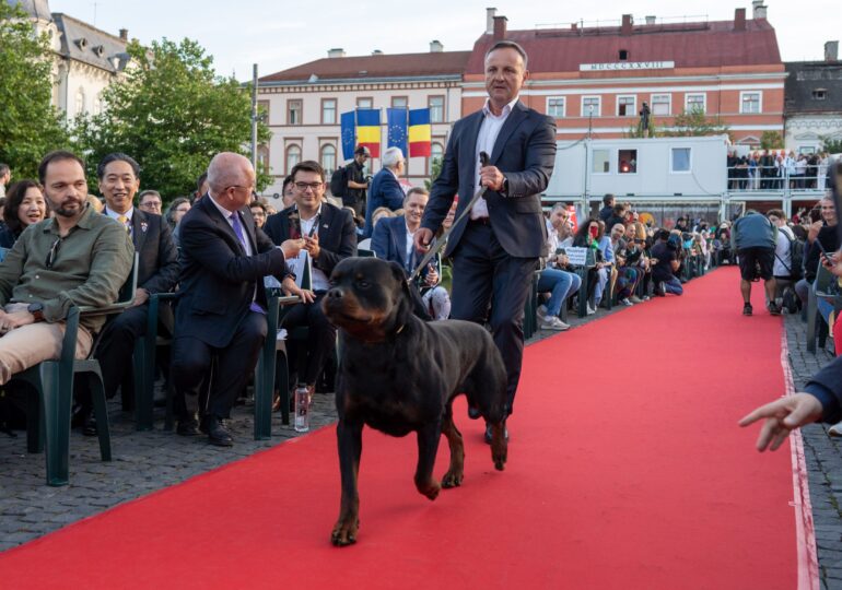 TIFF 2024 a început la Cluj cu acrobații, filmul ”Dogman” și o prezentare de câini-vedetă (Galerie foto & video)