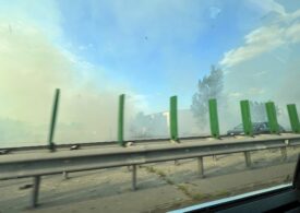 Incendiu puternic lângă Autostrada Soarelui. Trafic oprit pe ambele sensuri, nici trenurile nu circulă (Foto) <span style="color:#990000;">UPDATE</span>