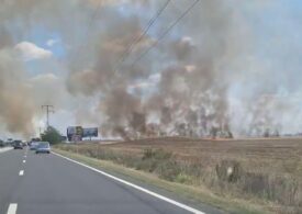 Incendiu masiv pe marginea DN1, se circulă greu, din cauza fumului (Video) <span style="color:#990000;">UPDATE</span>