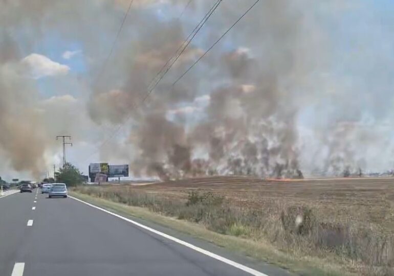 Incendiu masiv pe marginea DN1, se circulă greu, din cauza fumului (Video) <span style="color:#990000;">UPDATE</span>