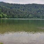 Lacul Sfânta Ana e în pericol, din cauza unei specii de pești invazivi