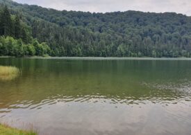 Lacul Sfânta Ana e în pericol, din cauza unei specii de pești invazivi