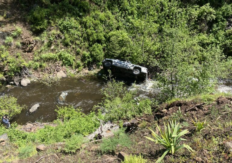 A dog ran 6 kilometers to seek help after its owner overturned the car into a ravine