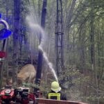 Incendiu uriaș la Dino Parc din Râșnov (Video)