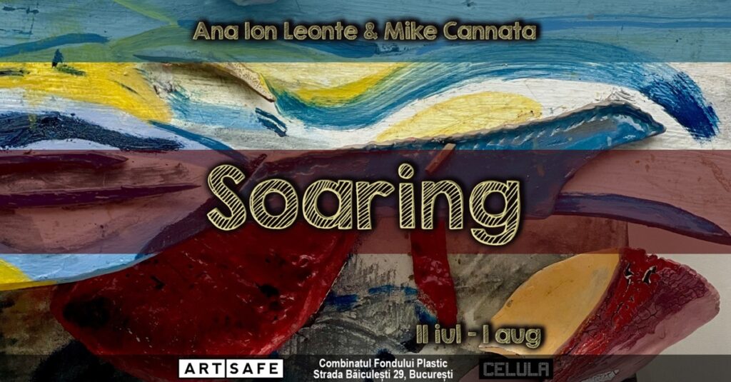 Soaring-I-Ana-Ion-Leonte-Mike-Cannata_2