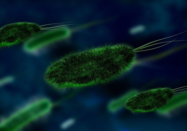 Un tip de bacterie orală pur și simplu extermină unele cancere - studiu