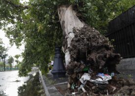 Furtună violentă cu grindină în București: A rupt acoperișuri și 70 de copaci (Galerie foto&Video)