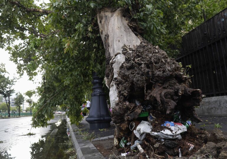 Furtună violentă cu grindină în București: A rupt acoperișuri și 70 de copaci (Galerie foto&Video)