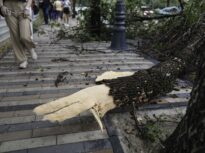 Cod galben de furtuni în 21 de județe și București