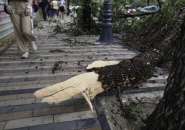 Furtună puternică la Iași: Un copac a căzut pe o mașină. A plouat torențial, cu grindină (Foto&Video)