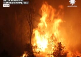 Imagini devastatoare din California: Primul mega-incendiu al anului este de origine criminală (Video)