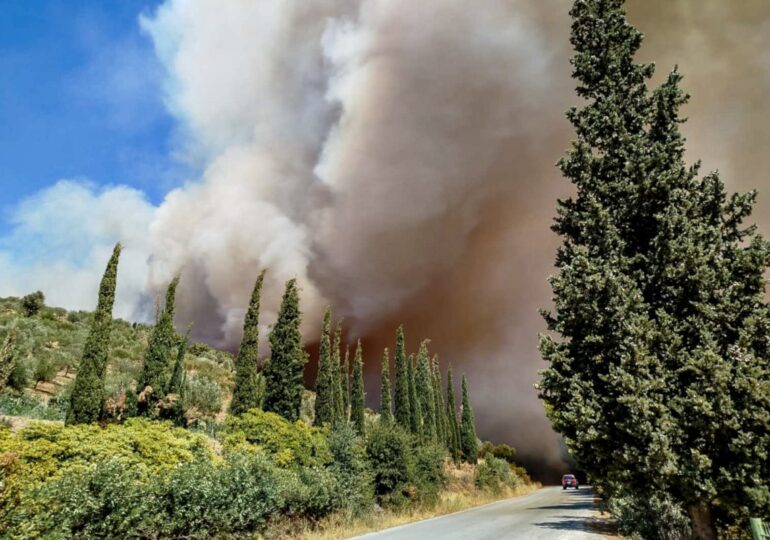 Grecia este în flăcări: 54 de incendii de vegetație în doar 24 de ore. Pompierii români au plecat să ajute (Video)