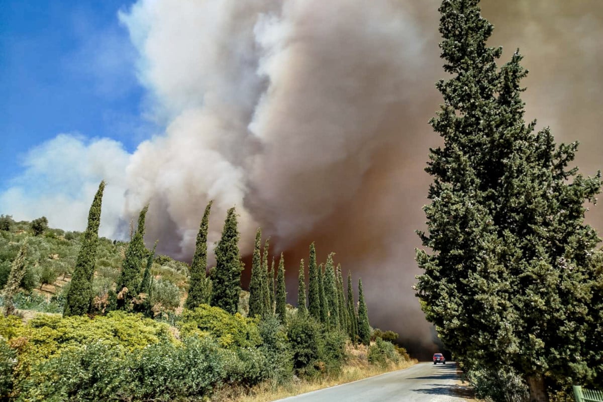 Grecia este în flăcări: 54 de incendii de vegetație în doar 24 de ore ...