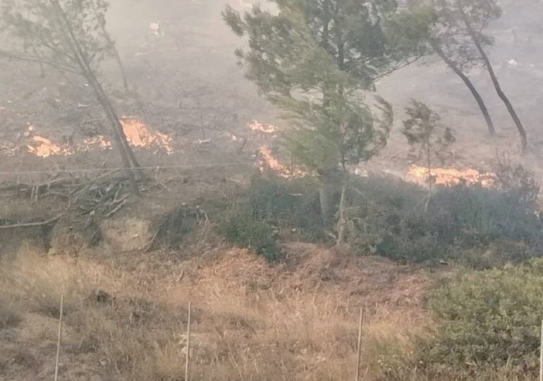 Alertă MAE: Furtuni puternice și risc ridicat de incendii în mai multe zone din Grecia