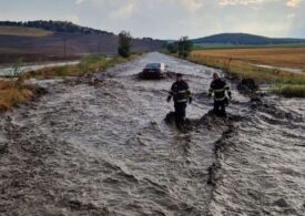 Revărsare de ape în Tulcea: 12 autoturisme și un microbuz au fost surprinse de viitură (Video)