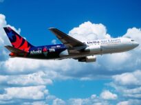 Un avion care ateriza la Chicago a intrat în contact cu un foc de artificii: Tocmai am auzit o bubuitură
