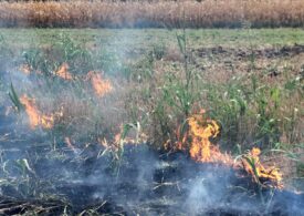 Giurgiu: 42 de hectare de vegetație au ars, posibil din cauza unui foc nesupravegheat. Imaginile dezastrului