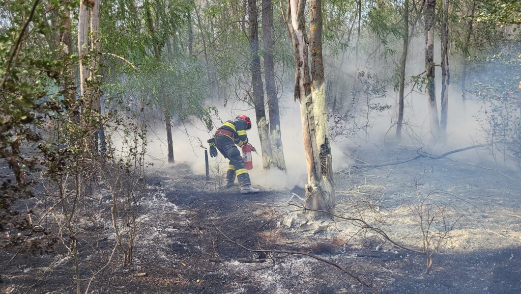 ISU-Giurgiu-incendiu-padure