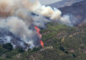 Incendiul din Madeira arde de peste o săptămână. Portugalia solicită ajutorul UE (Foto&Video)