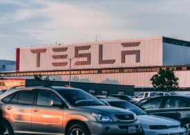 Jumătate de milion de copaci au fost tăiați pentru extinderea gigafabricii Tesla de la Berlin (Foto)