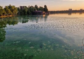 De ce pute lacul Herăstrău? Și cum spune ALPAB că va rezolva problema