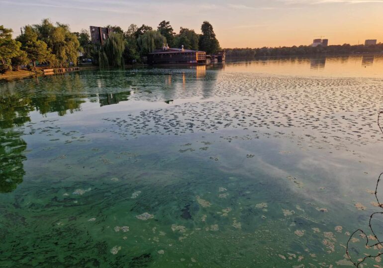 De ce pute lacul Herăstrău? Și cum spune ALPAB că va rezolva problema