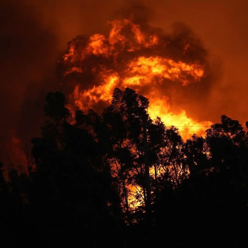 Turcia: Un incendiu masiv de vegetație s-a extins în zonele rezidențiale din Izmir. Locuitorii au fost evacuați (Video)