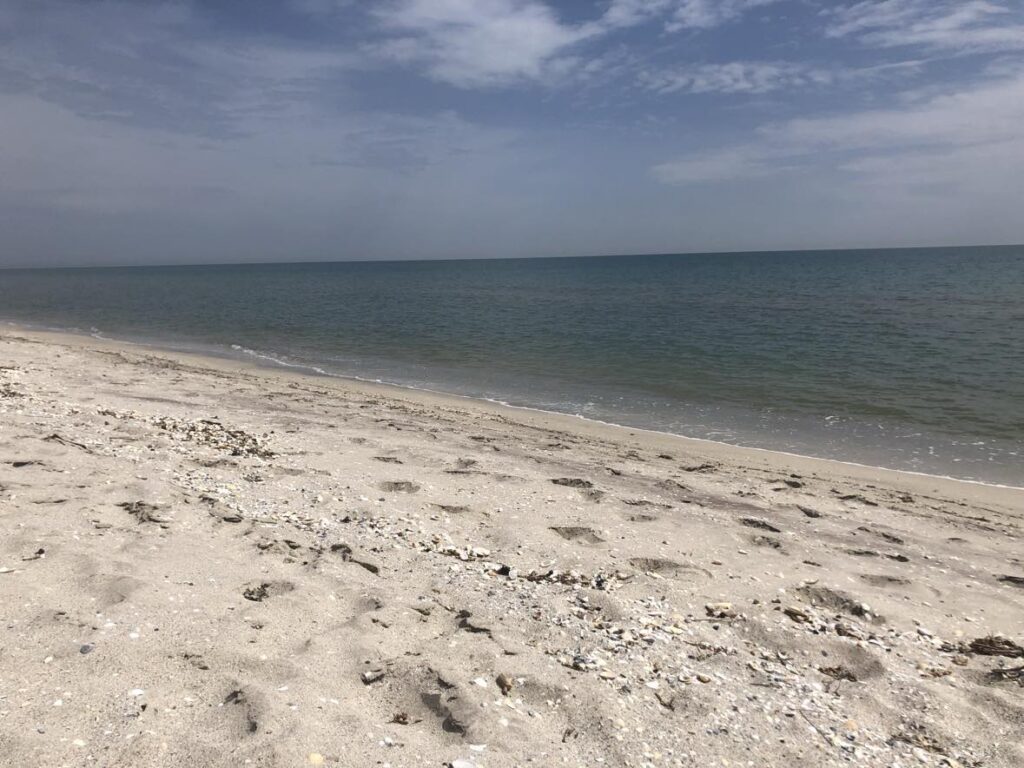 Cod roșu pe litoral. Toate plajele au fost evacuate. Peste 1.000 de turiști afectați UPDATE