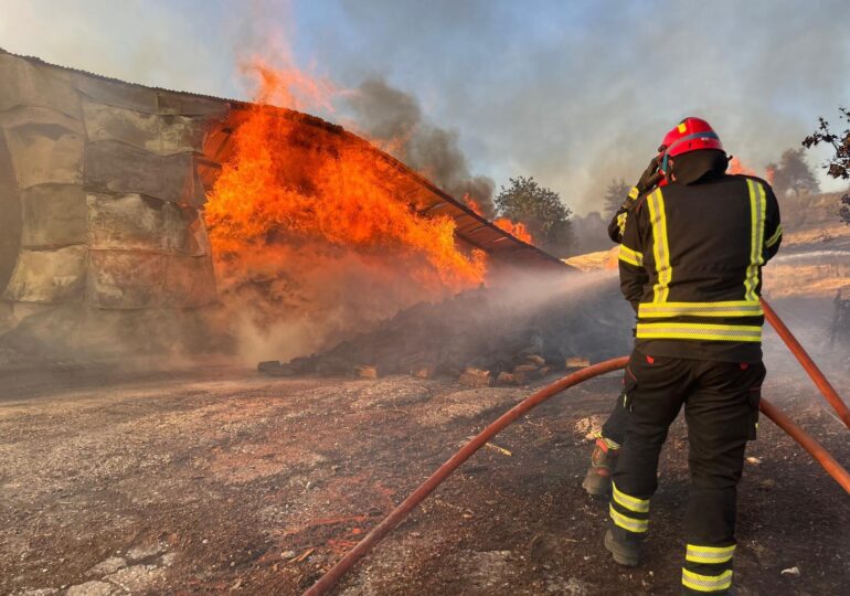 Incendiile amenință Atena. Localități și spitale evacuate. Pompierii români se luptă cu flăcările de 25 de metri care s-au răspândit "ca fulgerul" (Foto&Video)