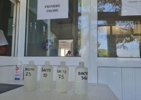 PressOne: Cât de sigură este îmbăierea pe litoralul românesc? Am testat: valori de E.coli de 100 de ori mai mari decât cele raportate de DSP