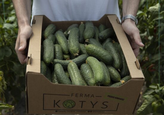 galerie foto cu Legume Lidl ferma Kotys