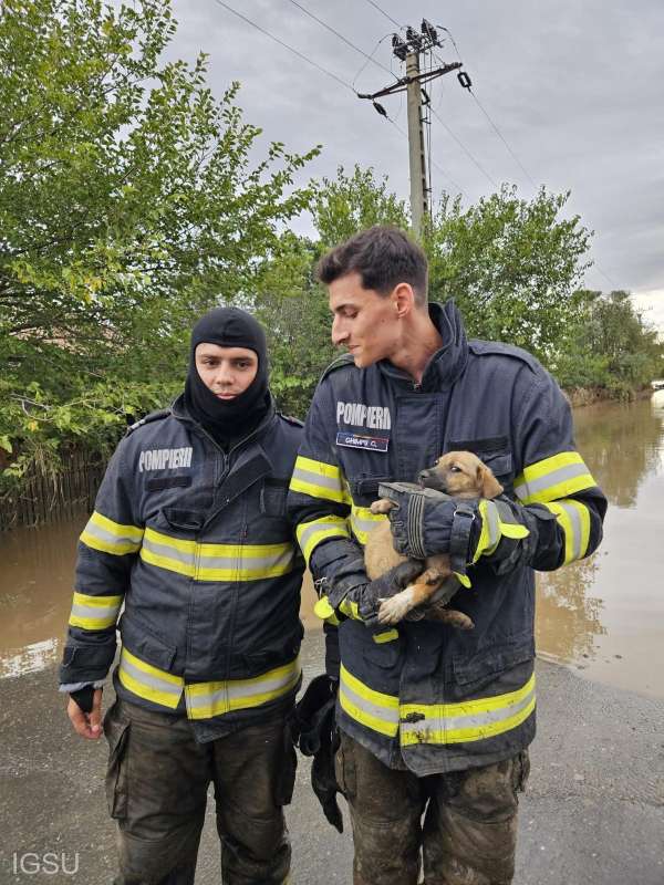 catel-salvat-inundatii-Galati