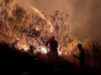 Incendiile de vegetație scapă de sub control în Peru. Focul a distrus recolte și situri arheologice (Foto & Video)