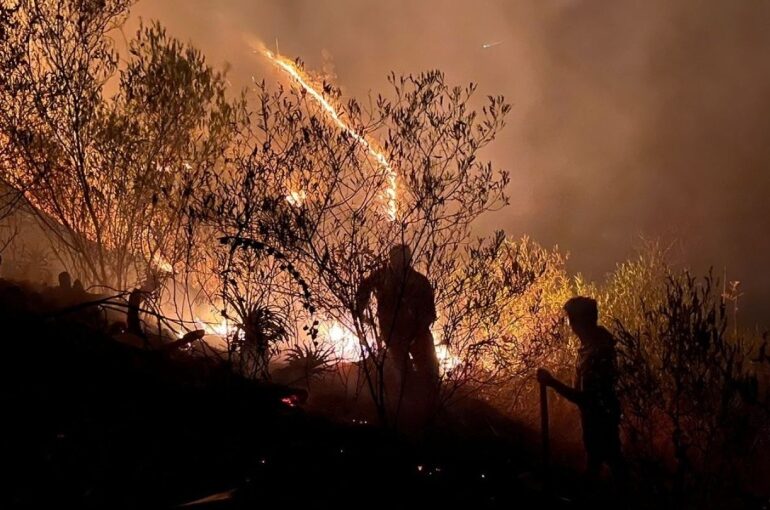 Incendiile de vegetație scapă de sub control în Peru. Focul a distrus recolte și situri arheologice (Foto & Video)